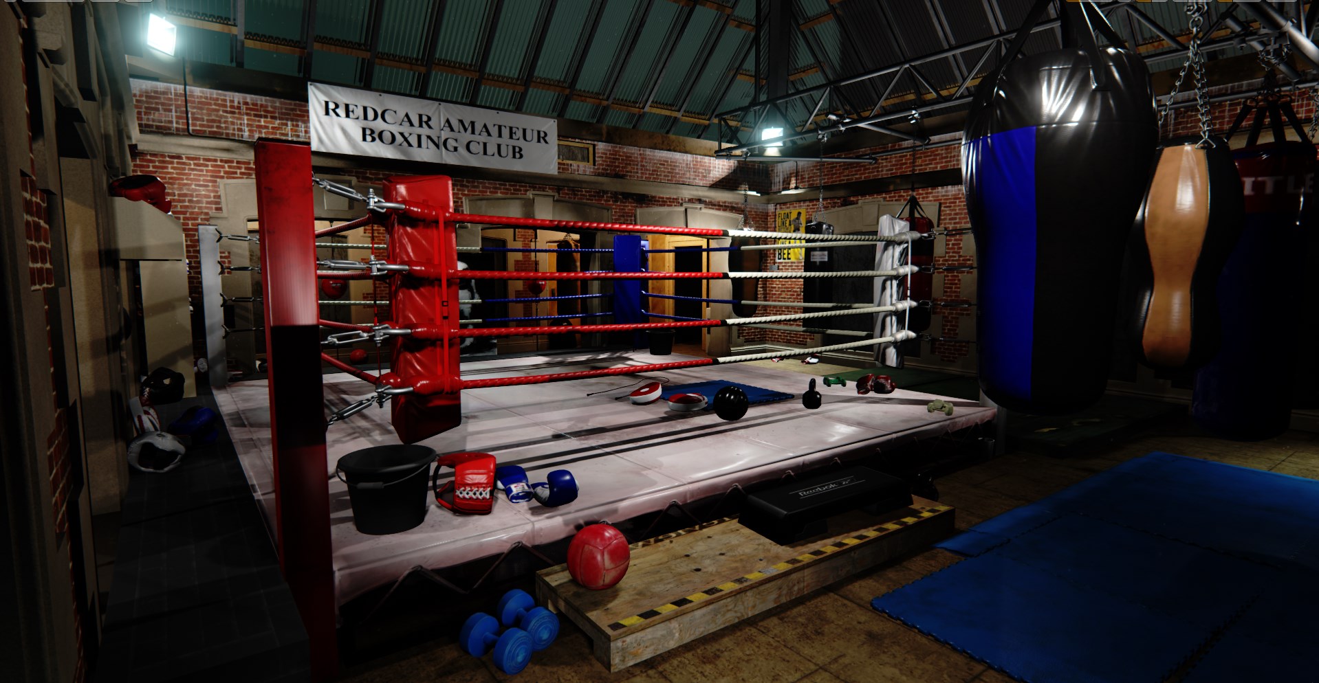 Boxing_Annex13